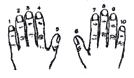 Drawing of two hands with a number from 1-10 over each finger.