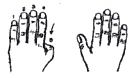 Drawing of hands, left hand fingers numbered 1-5 with thumb down.