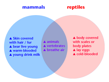 Venn diagram comparing mammals and reptiles