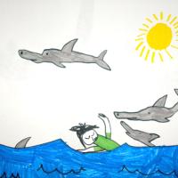 Swimming with dolphins