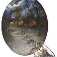 Midnight Path in the Woods