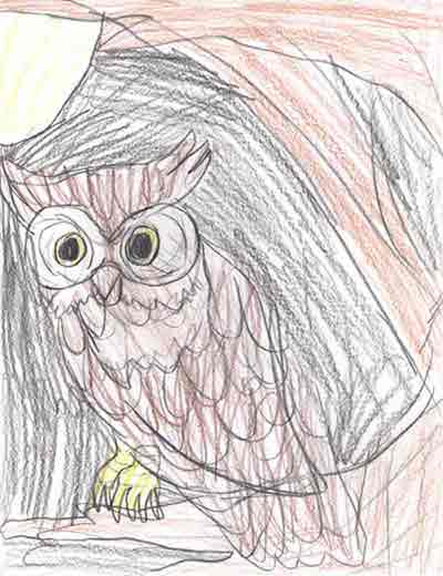 Owl